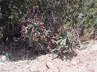 Click to enlarge Highslide JS