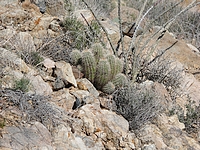 Click to enlarge Highslide JS