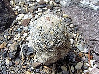 Highslide JS