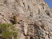 Click to enlarge Highslide JS